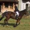 Zawody w Raciechowicach SJK Hucuł 2006